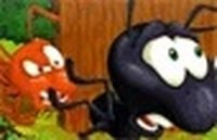 Black Ants Rescue Online Game