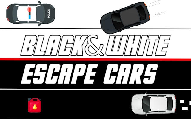 Black & White Escape Cars - Dual Control Driving Game