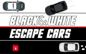 Black & White Escape Cars - Dual Control Driving Game