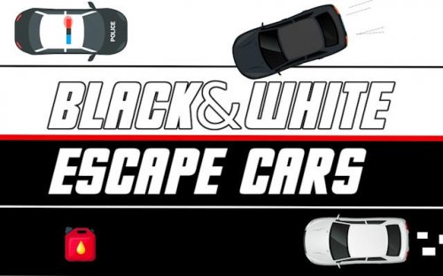 Black & White Escape Cars - Dual Control Driving Game