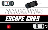 Black & White Escape Cars - Dual Control Driving Game