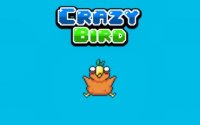 Crazy Bird - Arcade Flier Game