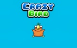 Crazy Bird - Arcade Flier Game