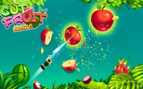 Fruit Ninja Slice Game