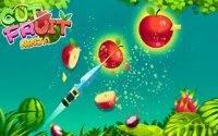 Fruit Ninja Slice Game