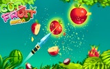 Fruit Ninja Slice Game